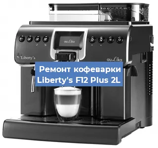 Замена прокладок на кофемашине Liberty's F12 Plus 2L в Ростове-на-Дону